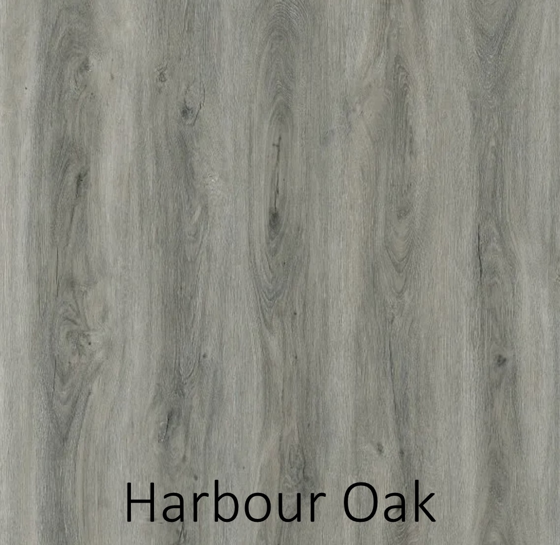 Harbour Oak